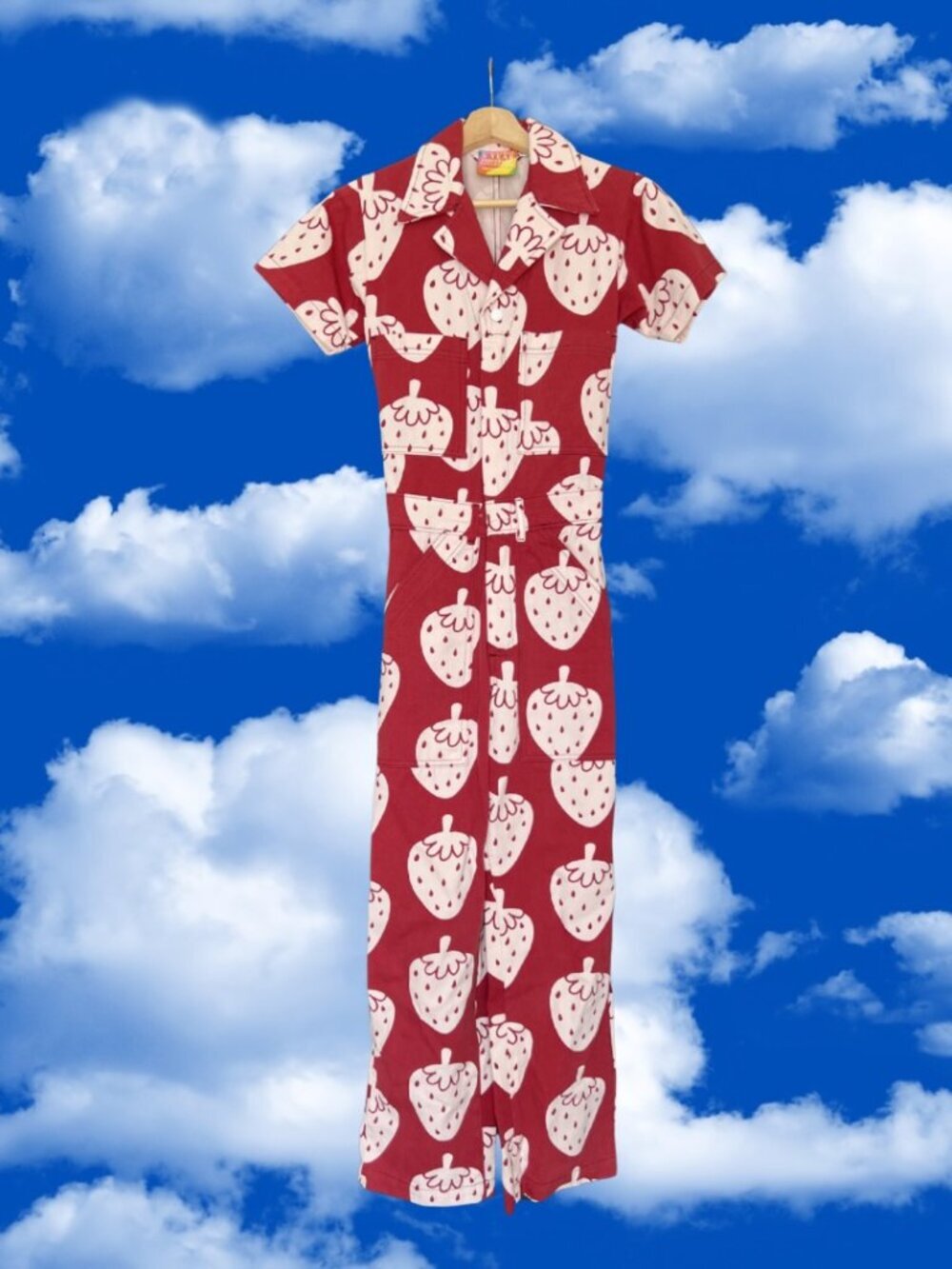 Big Bud Press Strawberry Print Everyday Jumpsuit Size XXS SUPER RARE!